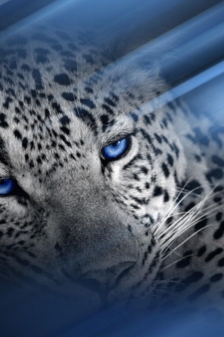 eljaguar