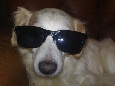 bobyboby