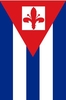 pazzo29