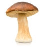 g8