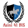 ASINI41BIS2025