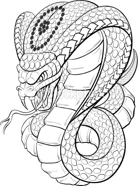 cobra85