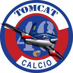 tomcat46