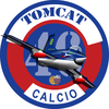 tomcat46