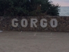 gorgoleague